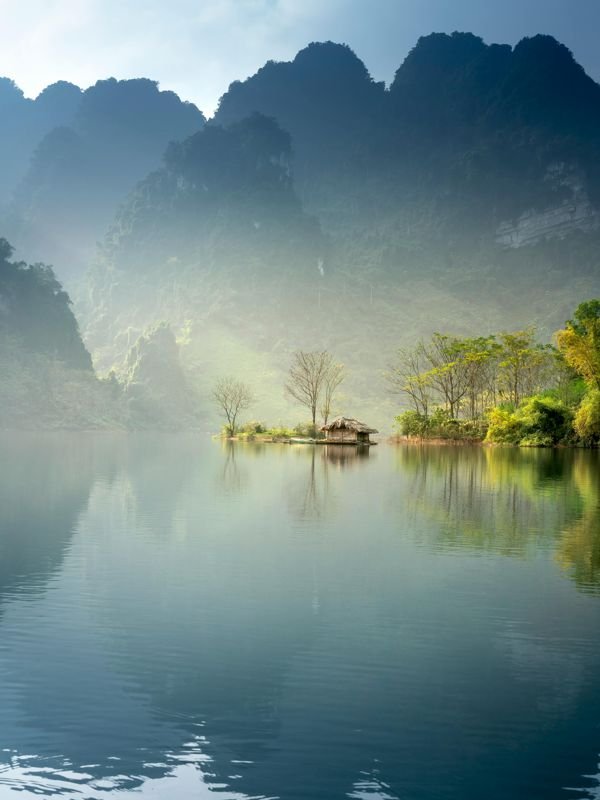 A scenic lake and forest landscape